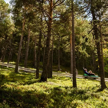 Reformado Park En El Centro De Andorra *